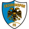 Erzurumspor FK