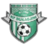 Dukagjini