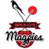 Magpies