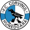 Corvinul Hunedoara